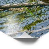 Night Heron jv Foto Afdruk (Hoek)