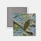Night Heron jv Magneet (Voorkant / Achterkant)