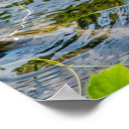 Night Heron jv Poster (Hoek)