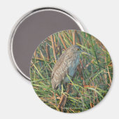 Night Heron Magnet (Voorkant / Achterkant)