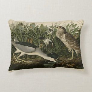 Night Heron, Qua Bird, Audubon's Birds of America Accent Kussen