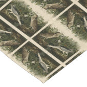 Night Heron, Qua Bird, Audubon's Birds of America Korte Tafelloper (Hoek)