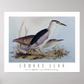 Night Herons Poster (Voorkant)