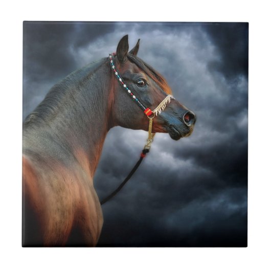 Night Horse Tegeltje (Voorkant)