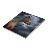 Night Horse Tegeltje (Zijkant)