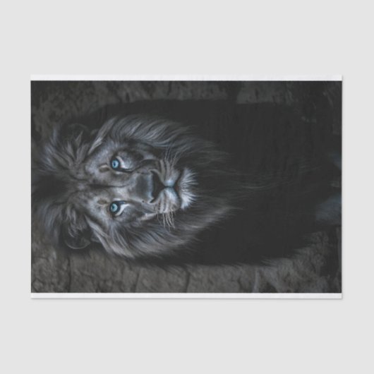 Night King Tissuepapier (Voorkant)