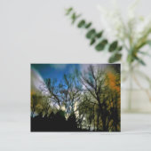 Night Light Briefkaart (Staand voorkant)