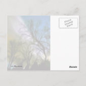 Night Light Briefkaart (Achterkant)