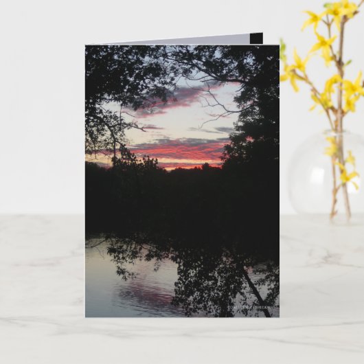 Night Light Kaart (Gele Bloem)