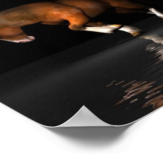 Night Mare Poster (Hoek)