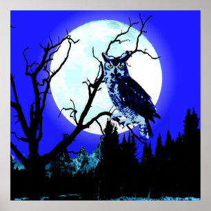 Night Moon Owl op een Poster van de Tak