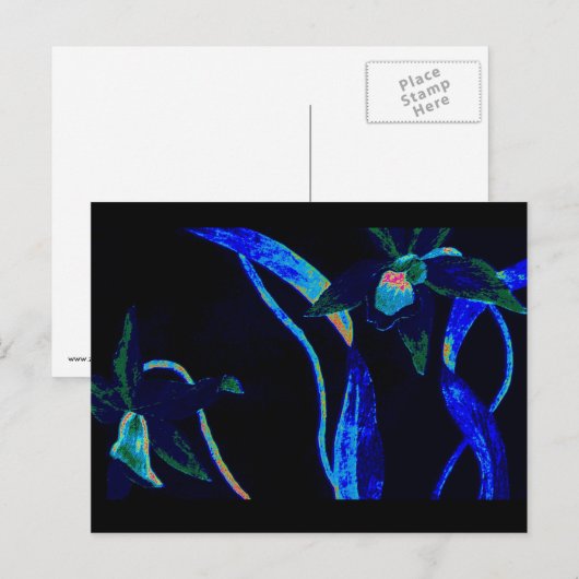 Night Orchid Briefkaart (Voorkant / Achterkant)
