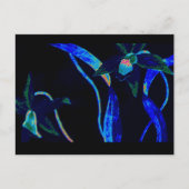 Night Orchid Briefkaart (Voorkant)
