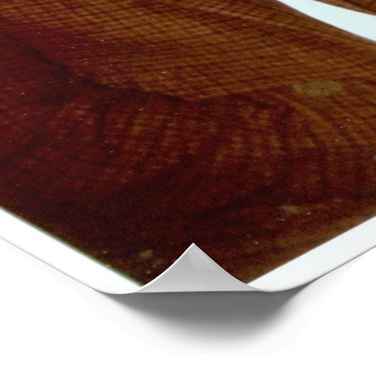 Night Out in Baltimore met Bob en Pam - 1960 Poster (Hoek)