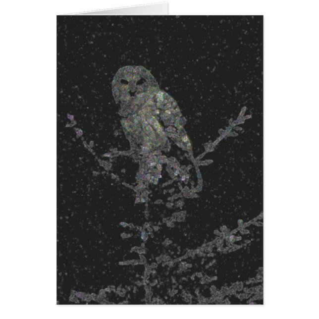 Night Owl (Voorkant)