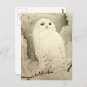 Night Owl Briefkaart (Voorkant / Achterkant)