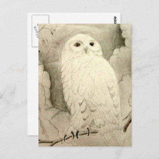 Night Owl Briefkaart (Voorkant / Achterkant)