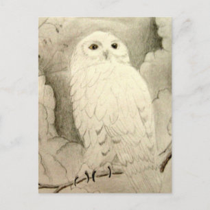 Night Owl Briefkaart
