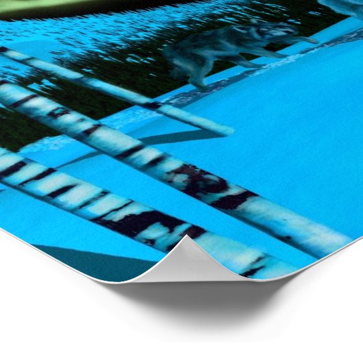 Night Patrol Poster (Hoek)