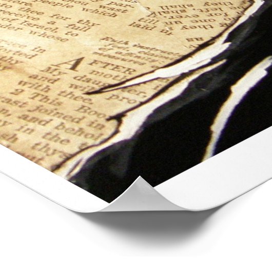 Night Raven Poster (Hoek)