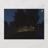 Night Ride Briefkaart (Voorkant)