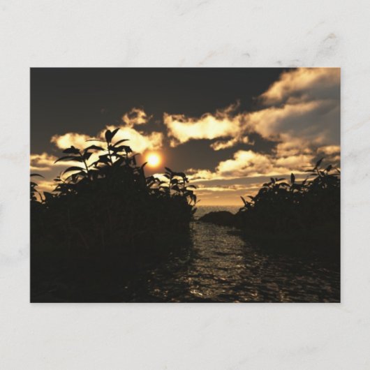 Night Sky Briefkaart (Voorkant)