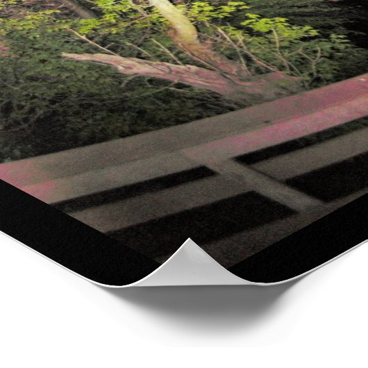 Night Sky Photo Poster (Hoek)