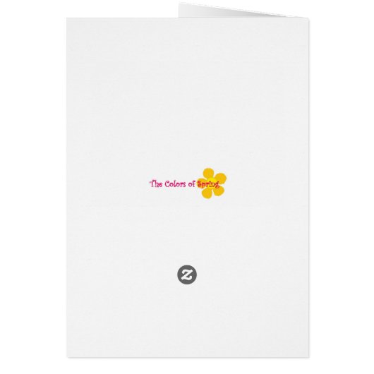 Night Stars & Lightning Bugs - Lied van Sol 8:7 Ka (Achterkant)