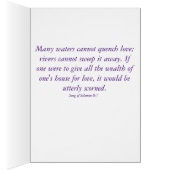 Night Stars & Lightning Bugs - Lied van Sol 8:7 Ka (Binnen (Rechts))