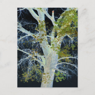 "Night Tree" Digitaal gewijzigd afbeelding van str Briefkaart