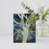 "Night Tree" Digitaal gewijzigd afbeelding van str Briefkaart (Staand voorkant)