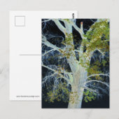 "Night Tree" Digitaal gewijzigd afbeelding van str Briefkaart (Voorkant / Achterkant)