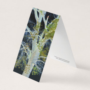 "Night Tree" Digitaal gewijzigd afbeelding van str Kaart