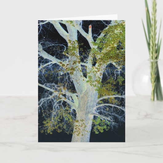 "Night Tree" Digitaal gewijzigd afbeelding van str Kaart (Voorkant)