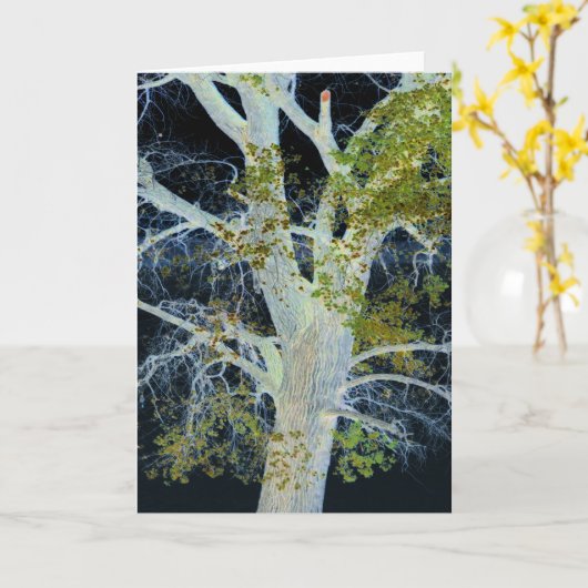 "Night Tree" Digitaal gewijzigd afbeelding van str Kaart (Gele Bloem)