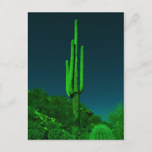 Night Vision Cactus Briefkaart