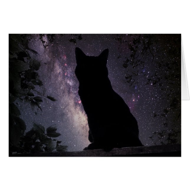 Night Watch (Voorkant Horizontaal)