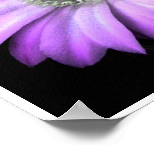 NightBloom Poster (Hoek)