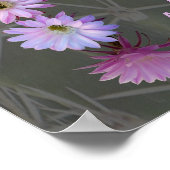 Nightblooming Mandala 5 met gedicht Poster (Hoek)