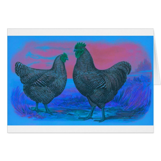 NightBreak (Voorkant Horizontaal)