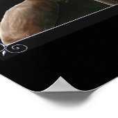 NightFall Poster (Hoek)