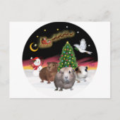 NightFlight - 3 cavia's Briefkaart (Voorkant)