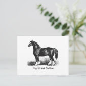 Nighthawk StallionProduct Geselecteerd Meerdere Briefkaart (Staand voorkant)