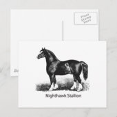 Nighthawk StallionProduct Geselecteerd Meerdere Briefkaart (Voorkant / Achterkant)