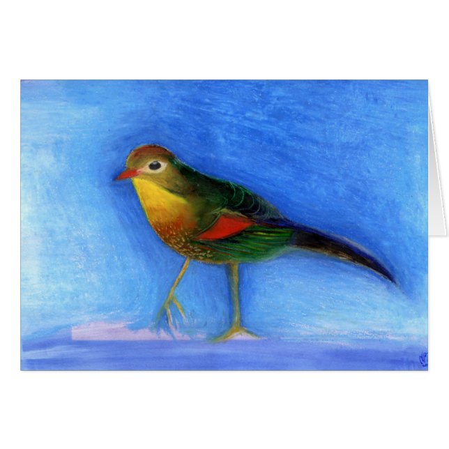 Nightingale Light 2012 (Voorkant Horizontaal)