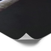 Nightingale Poster (Hoek)