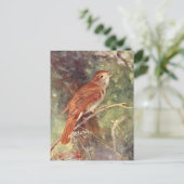 Nightingale Singing Briefkaart (Staand voorkant)