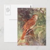 Nightingale Singing Briefkaart (Voorkant / Achterkant)
