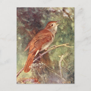 Nightingale Singing Briefkaart