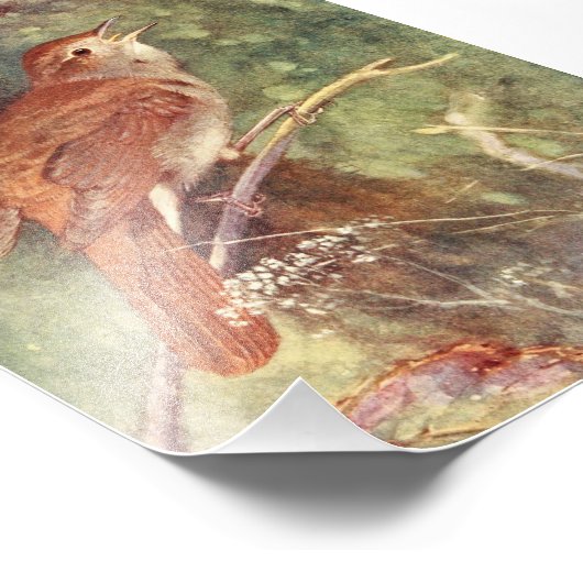 Nightingale Singing Foto Afdruk (Hoek)